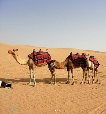 Desert Safari Abu Dhabi