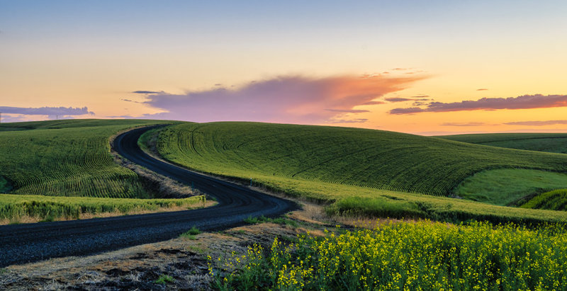 Country Road sunset web.jpg