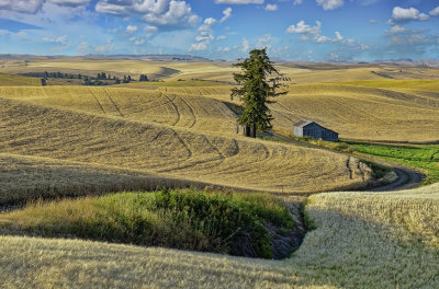 palouse_8-18