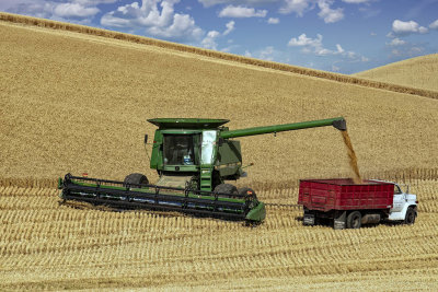 Combine_1_with_sky.jpg