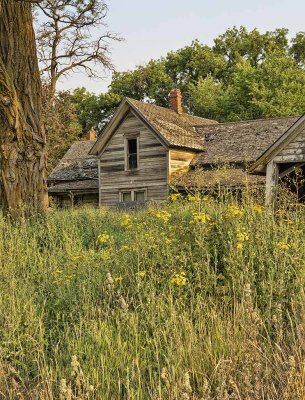 House_on_Moore_rd.jpg