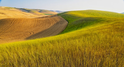 Manning_road_morning_1.jpg