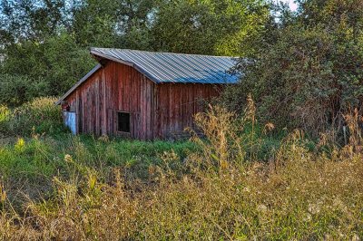 Palouse_outbuilding_1.jpg