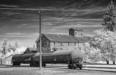 Rosalia_rail_spur_IR_1.jpg