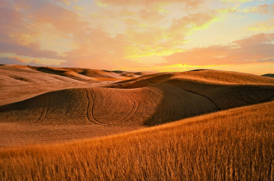 Wheat_canyons_color_IR_new_sky.jpg