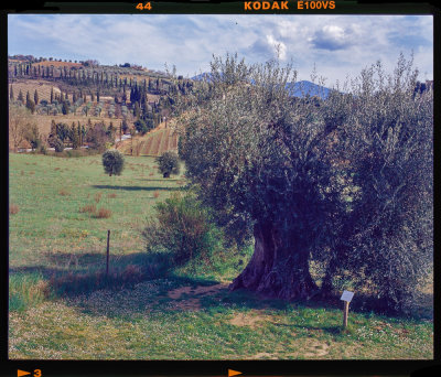 Tuscany07a.jpg