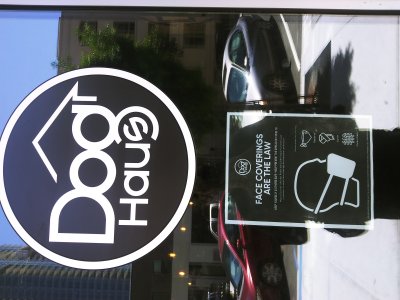 Doghaus. San Diego California