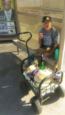 Senior woman forced to live in bus shelter.  Phoenix Arizona