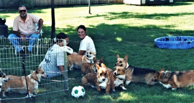 first corgi picnic 
