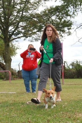 Ohio Corgi Picnic 2021