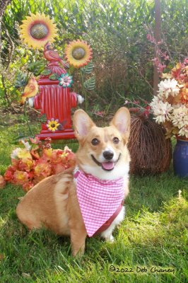 Lucy 11.jpg