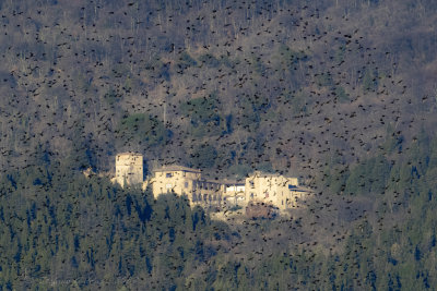 Passaggio di Storni