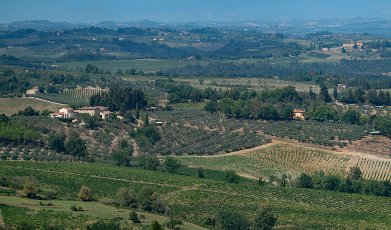 Tuscan countryside 10
