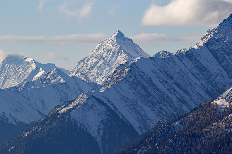 from the Gondola Summit 7