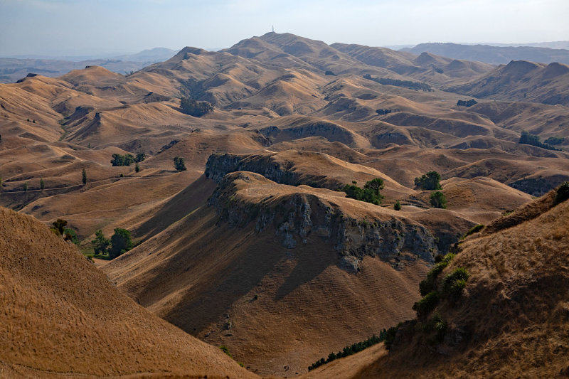 from Te Mata Peak