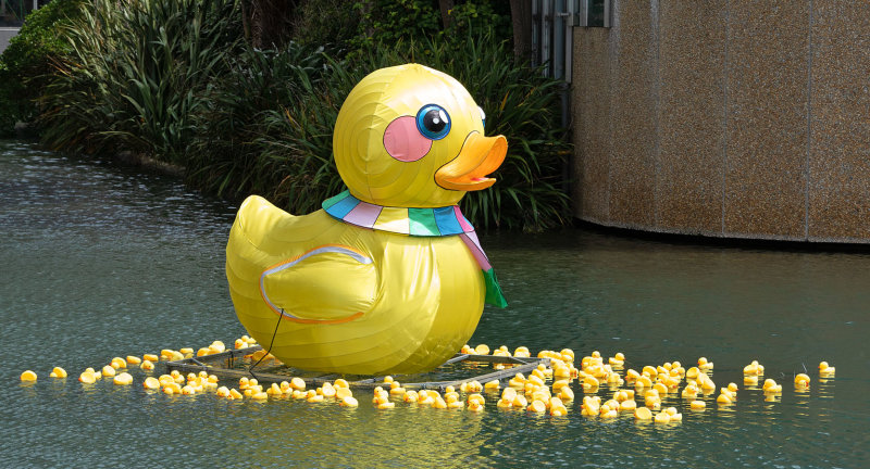 Wellington Lantern Festival