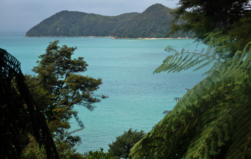 Abel Tasman Walk - Adele Island
