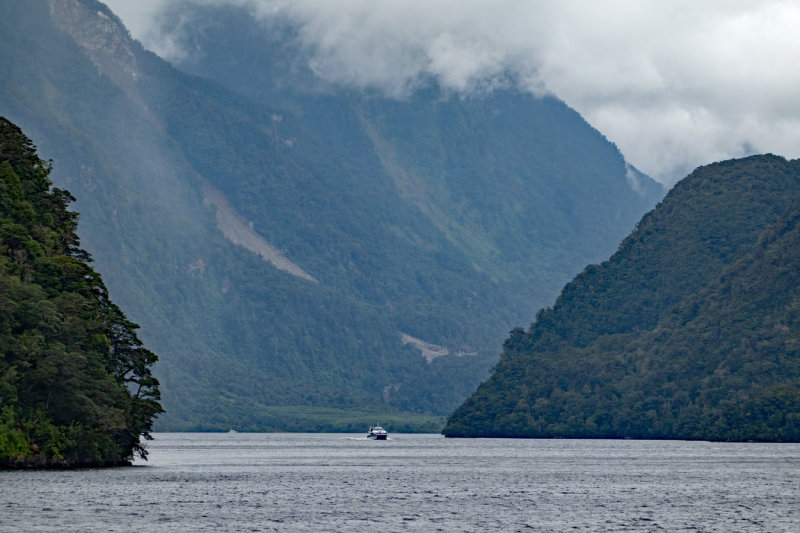 Doubtful Sound