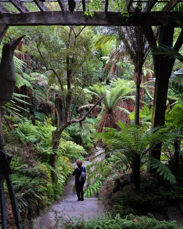 Auckland Fernery