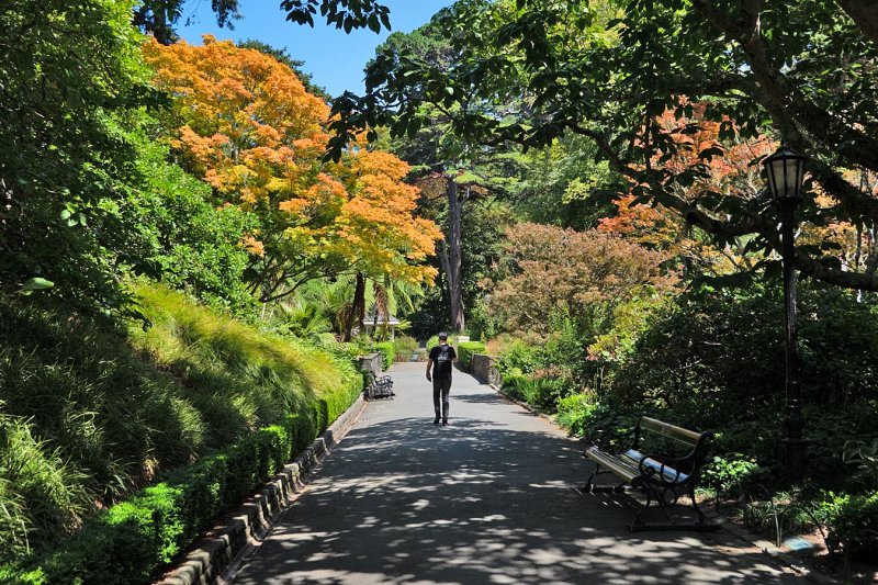 Wellington Botanic Gardens