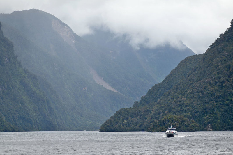 Doubtful Sound