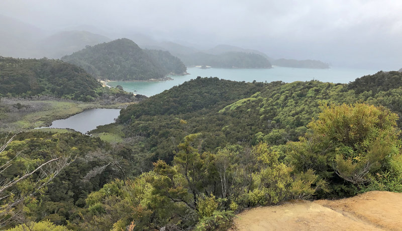 Abel Tasman Walk - Torrent Bay