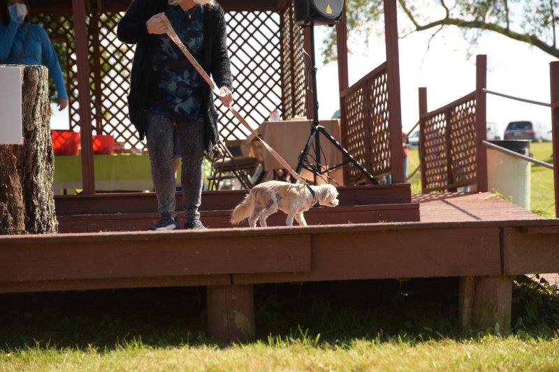 DSC_9414.JPG
