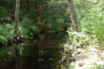 DSC_7158.JPG