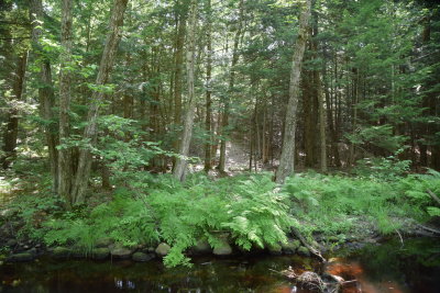 DSC_7160.JPG
