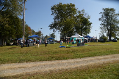 DSC_9354.JPG