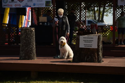 DSC_9381.JPG