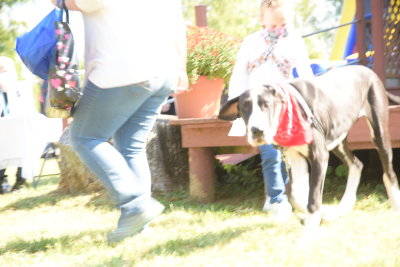 DSC_9389.JPG
