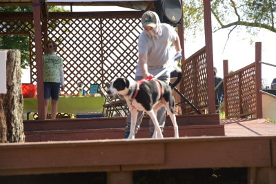 DSC_9391.JPG