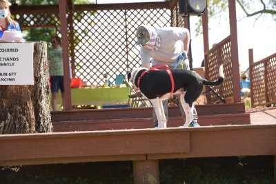 DSC_9393.JPG