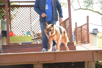 DSC_9394.JPG
