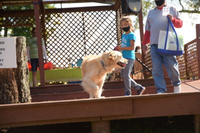 DSC_9406.JPG