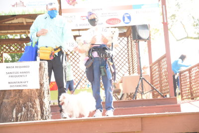 DSC_9422.JPG