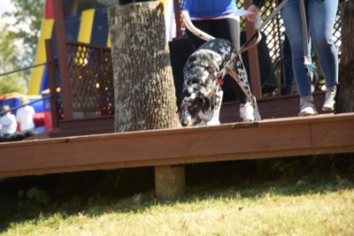 DSC_9436.JPG