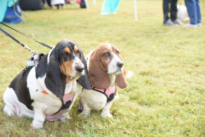 DSC_9455.JPG