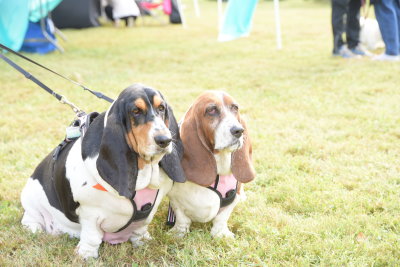 DSC_9457.JPG