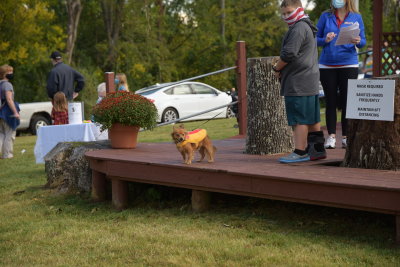 DSC_9482.JPG
