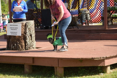 DSC_9488.JPG