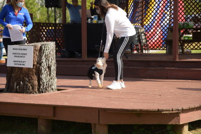 DSC_9490.JPG