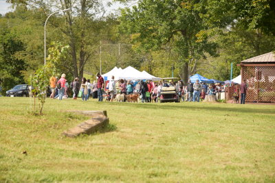 DSC_9497.JPG