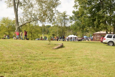 DSC_9498.JPG