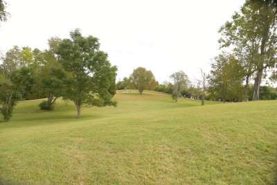 DSC_9503.JPG