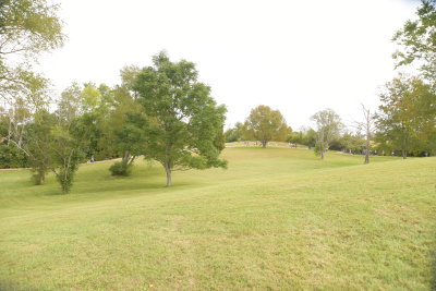 DSC_9506.JPG