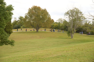 DSC_9507.JPG