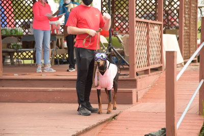 DSC_9511.JPG