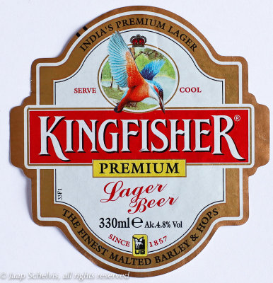 IJsvogel - Kingfisher - Alcedo atthis - Indian Pale Lager beer